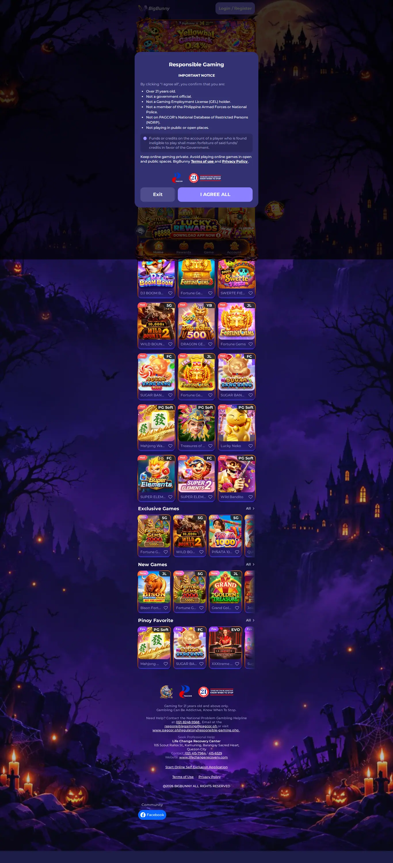 BigBunny website homepage on desktop, full page, captured Oct 24, 2026