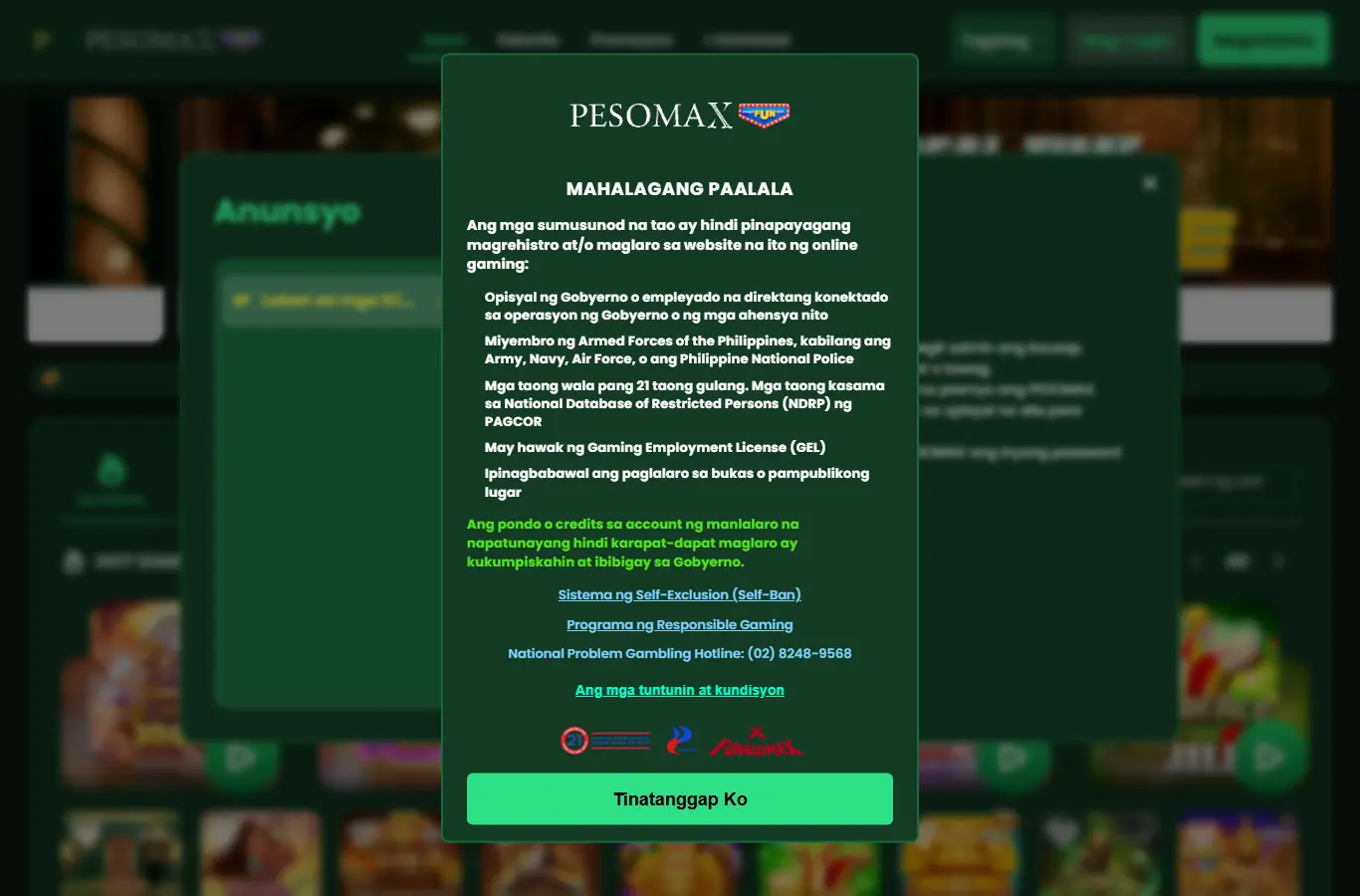 Website ng PESOMAX noong Okt 8, 2026